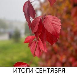 it_sept_22.jpg it_sept_22.jpg