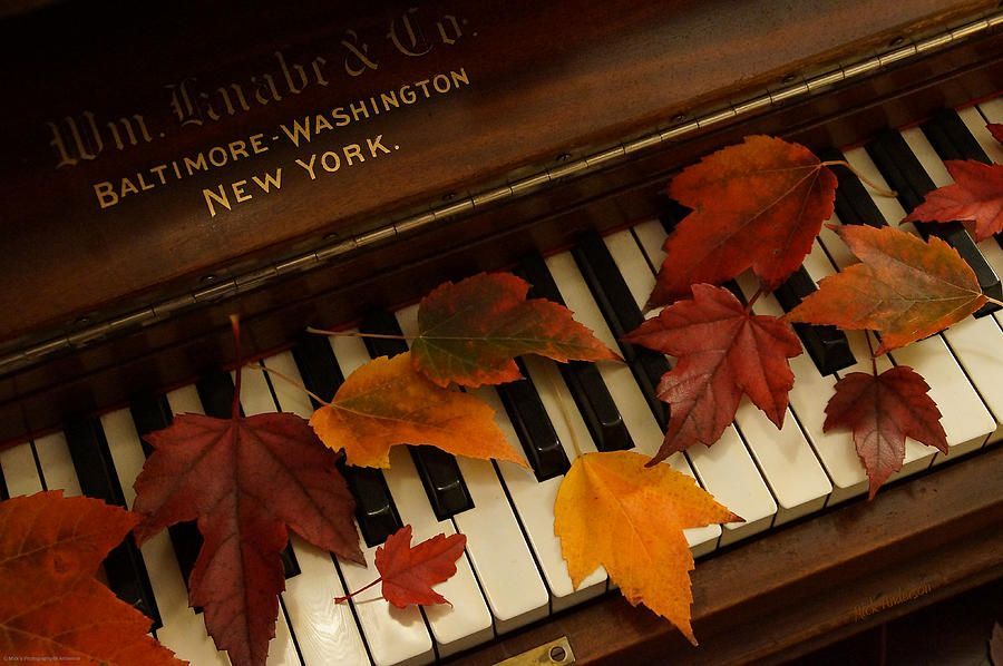 autumn-piano-14-mick-anderson.jpg
