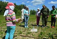 Летняя площадка в ЖК "Мечта" в июне 2015