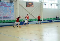 Турнир по мини-футболу по Габовскому поселению