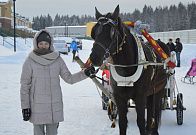 Рождественские гуляния 2015г.